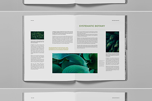 Botanical Green Nature Brochure