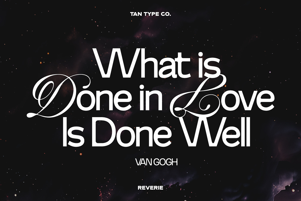 TAN-THE REVERIE, a Sans Serif Font by TanType (Photo 5 of 11)
