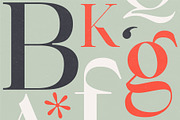 Belize – Stylish Ligature Serif Font, a Serif Font by Studio Aurora (Thumbnail 7 of 8)