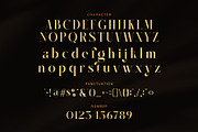 Gafilen Elegant Serif Font, a Serif Font by Graphicxell (Thumbnail 7 of 8)