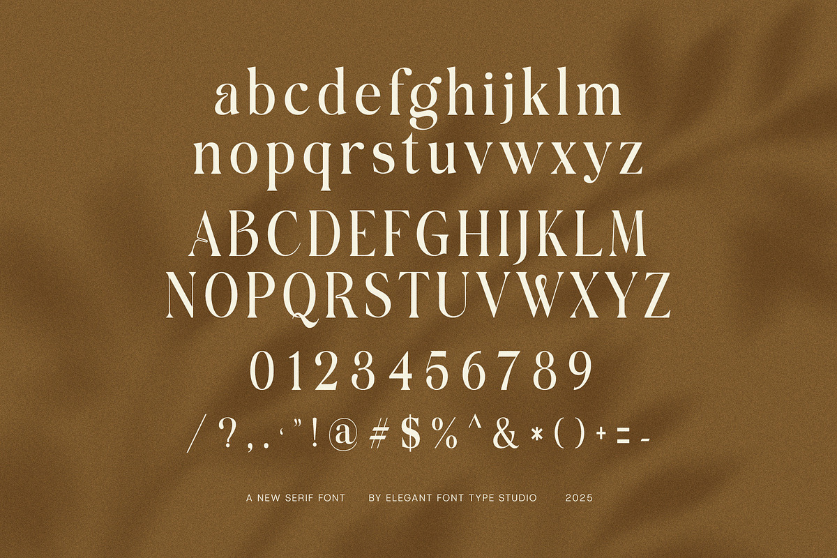 Bigland Elegant Serif Font, a Serif Font by Elegant Font (Photo 8 of 8)