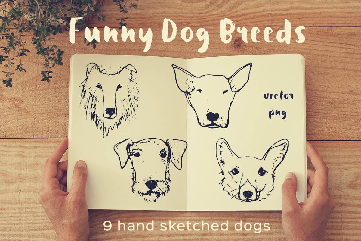 Funny Dog Heads (sketch style), an Animal Illustration by Anna Isaeva (Photo 1 of 3)