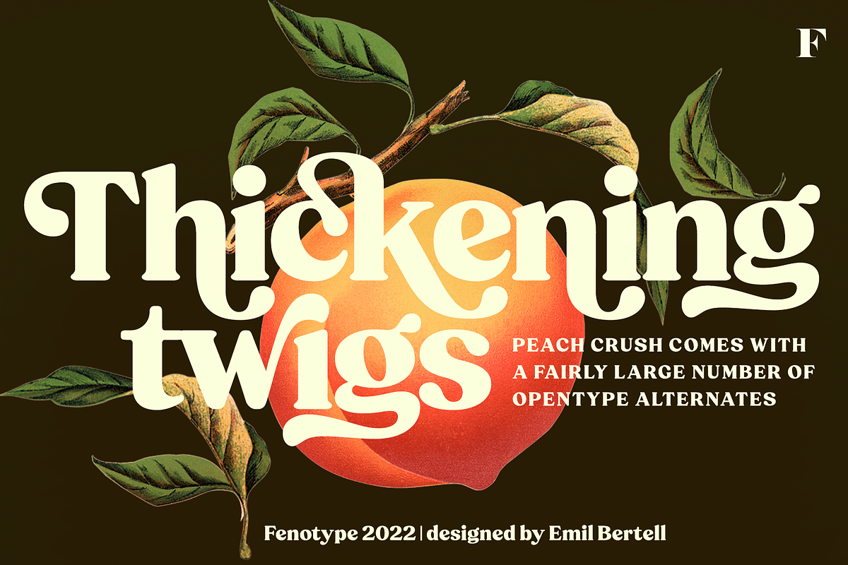 Peach Crush Serif Typeface, a Serif Font by Fenotype (Photo 2 of 16)