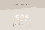 WATERCOLOR DAISY / illustration set, an Illustration by KruthDesign (Thumbnail 2 of 7)