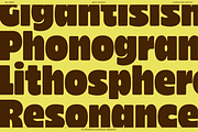 BN Sonic - Bold, Soft & Balanced, a Sans Serif Font by Bnick (Thumbnail 6 of 13)