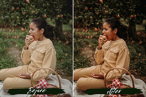 Earthy Tones Lightroom Presets