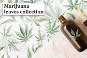 Marijuana leaves, an Object Graphic by Dashamoony (Thumbnail 1 of 3)