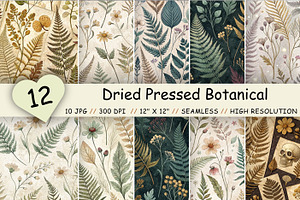 Dried Pressed Botanical Pattern
