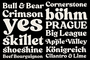 Skillet Serif Typeface, a Serif Font by Fenotype (Thumbnail 7 of 14)