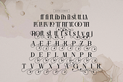 Ronale Classic | Handmade Serif, a Serif Font by gracetype_studio (Thumbnail 12 of 12)
