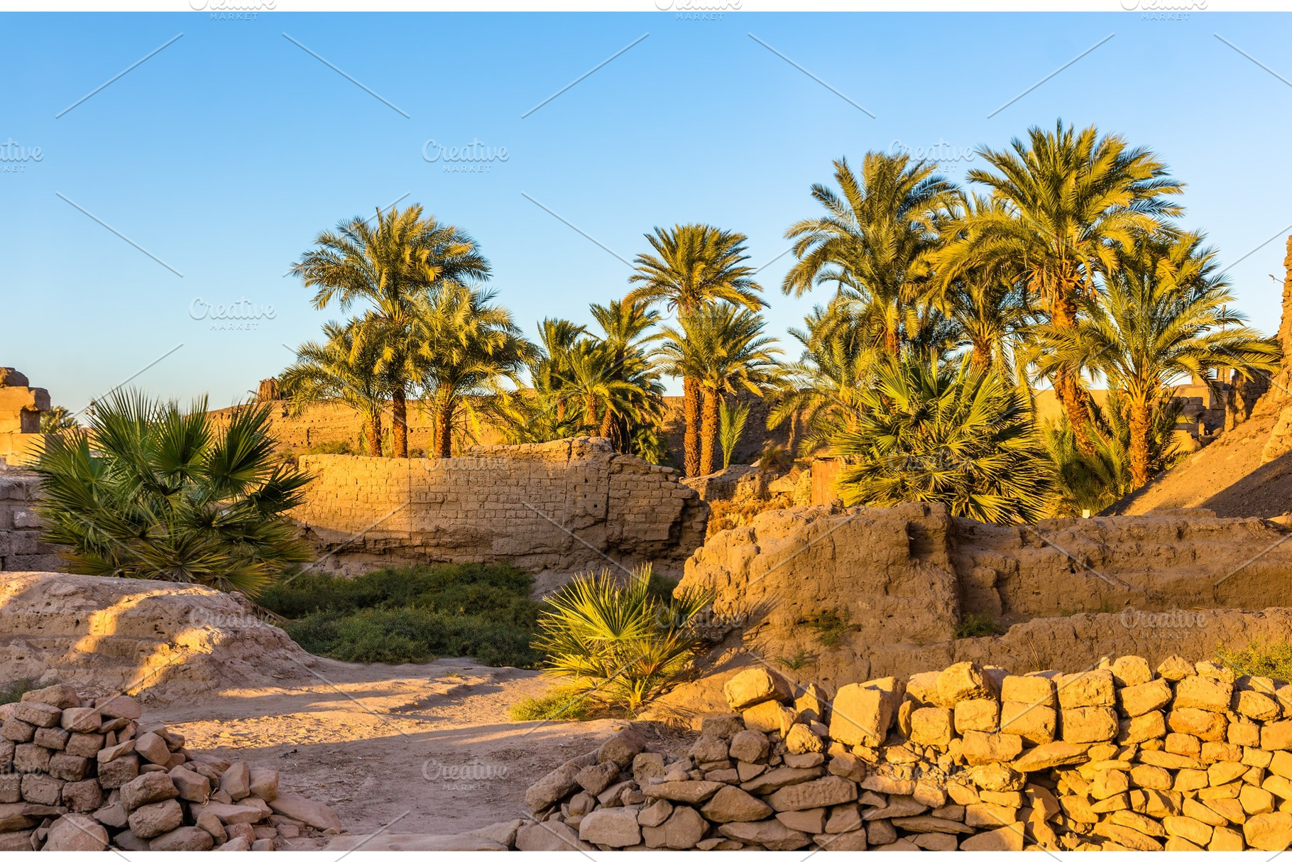 Vegetation in the Karnak Temple Complex - Luxor, Egypt, an Architecture Photo by Leonid Andronov