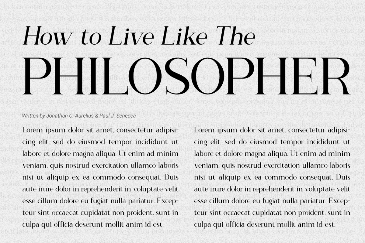 The Calling Monday - Modern Stylish, a Serif Font by RockboyStd (Photo 5 of 12)