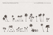 Tropical Palm Tree Silhouettes, an Object Illustration by TheMountBirdStudio (Thumbnail 6 of 6)