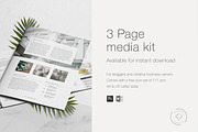 3 Page Press Kit Template, a Resume Template by Leo Resume (Thumbnail 6 of 7)
