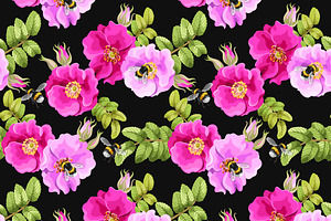 Dog-Rose Patterns