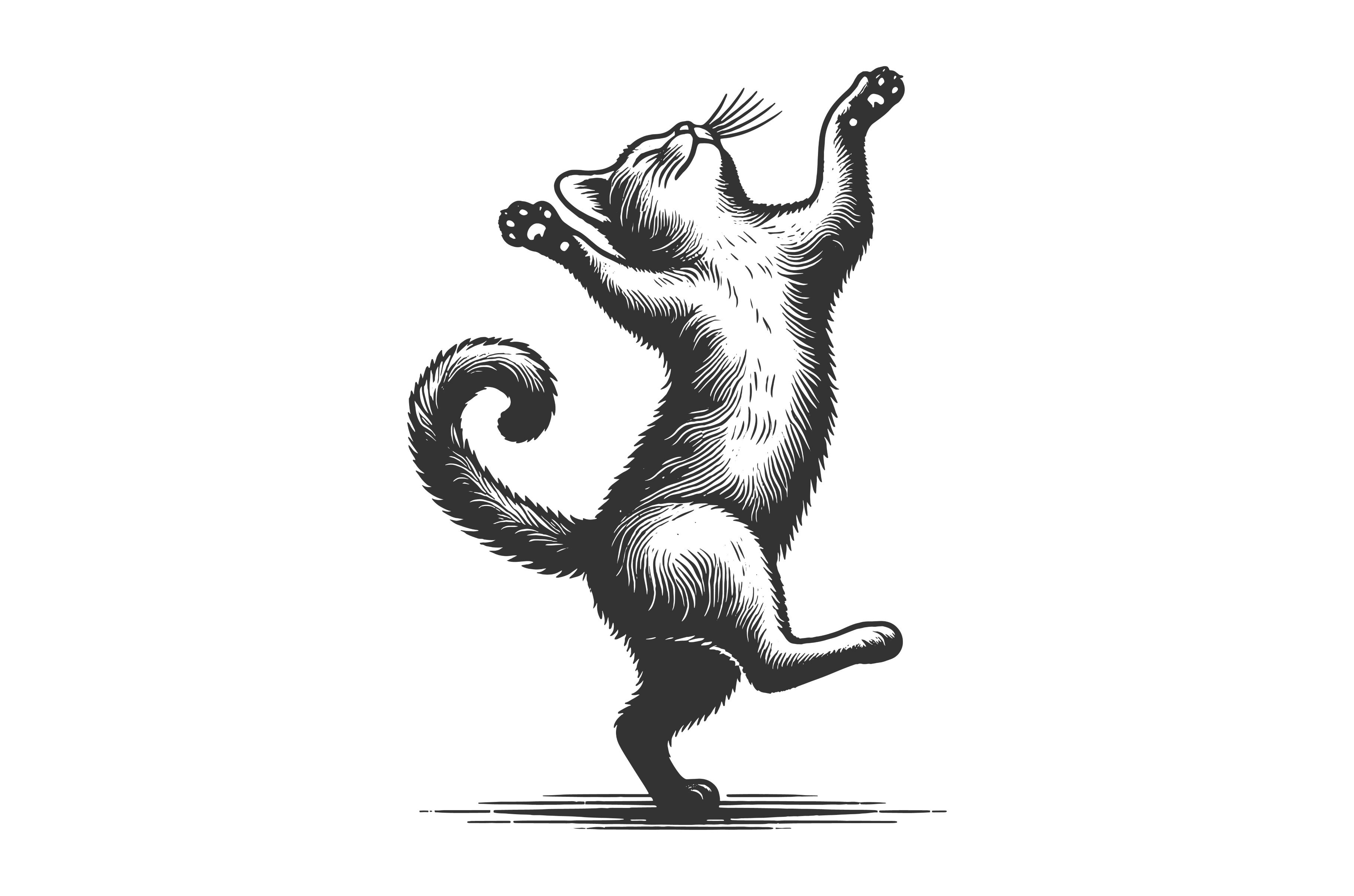 Playful Dancing Cat engraving vector, an Animal Illustration by AlexArt