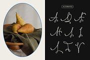 Larasita Elegant Sans Serif Font, a Sans Serif Font by Vadovastd (Thumbnail 6 of 8)