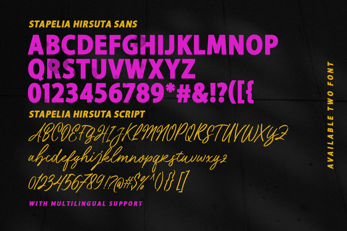 MCO - Stapelia Hirsuta, a Handwritten Font by Mojiscope Studio (Photo 8 of 9)