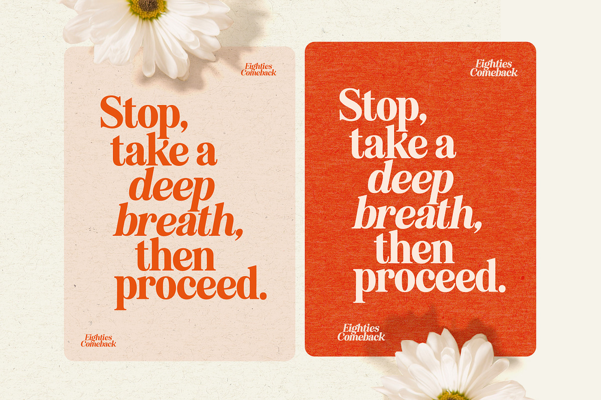 Eighties Comeback Serif (70 fonts), a Serif Font by Nicky Laatz (Photo 37 of 47)