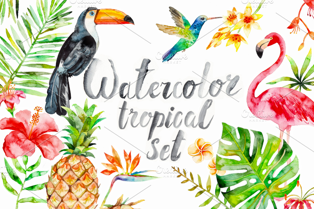 Watercolor tropical set, an Illustration by artnLera (Photo 1 of 3)