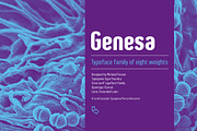 Genesa, a Sans Serif Font by Typogama (Thumbnail 1 of 12)