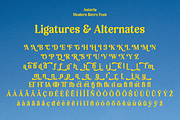Asteria - Retro Display Font, a Serif Font by RagamKata (Thumbnail 12 of 12)