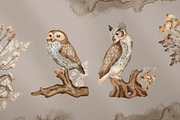 Owls Story watercolor forest clipart, an Animal Illustration by Alamella (Thumbnail 5 of 12)