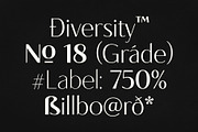 Diona Sans - Font Family, a Sans Serif Font by iqbal habibi (Thumbnail 5 of 11)