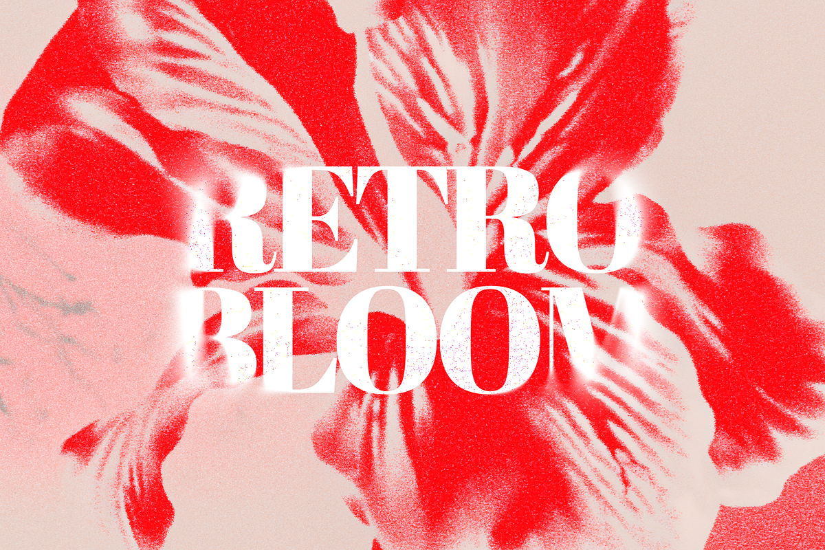 Retro Bloom Grain Textures, a Texture Graphic by Ann Creative (Photo 1 of 9)