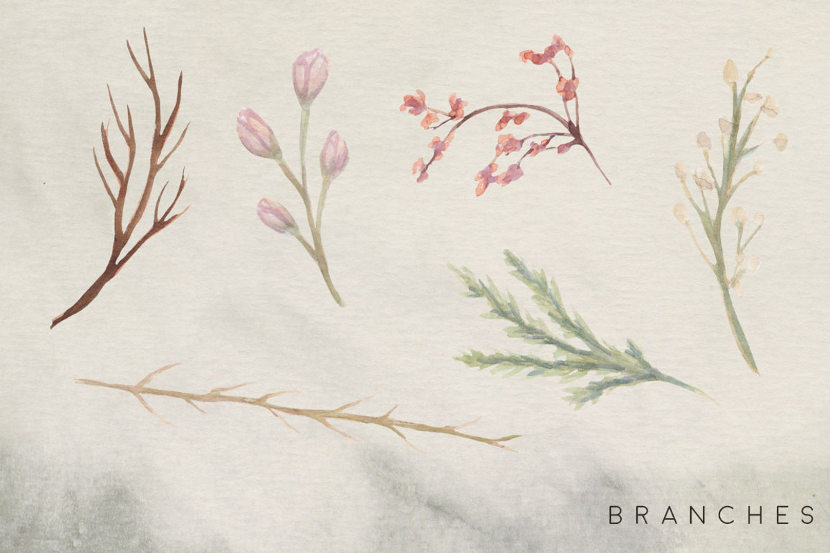 Succulent Blooms Watercolor Images, a Texture Illustration by Fire Spark Studio (Photo 5 of 9)