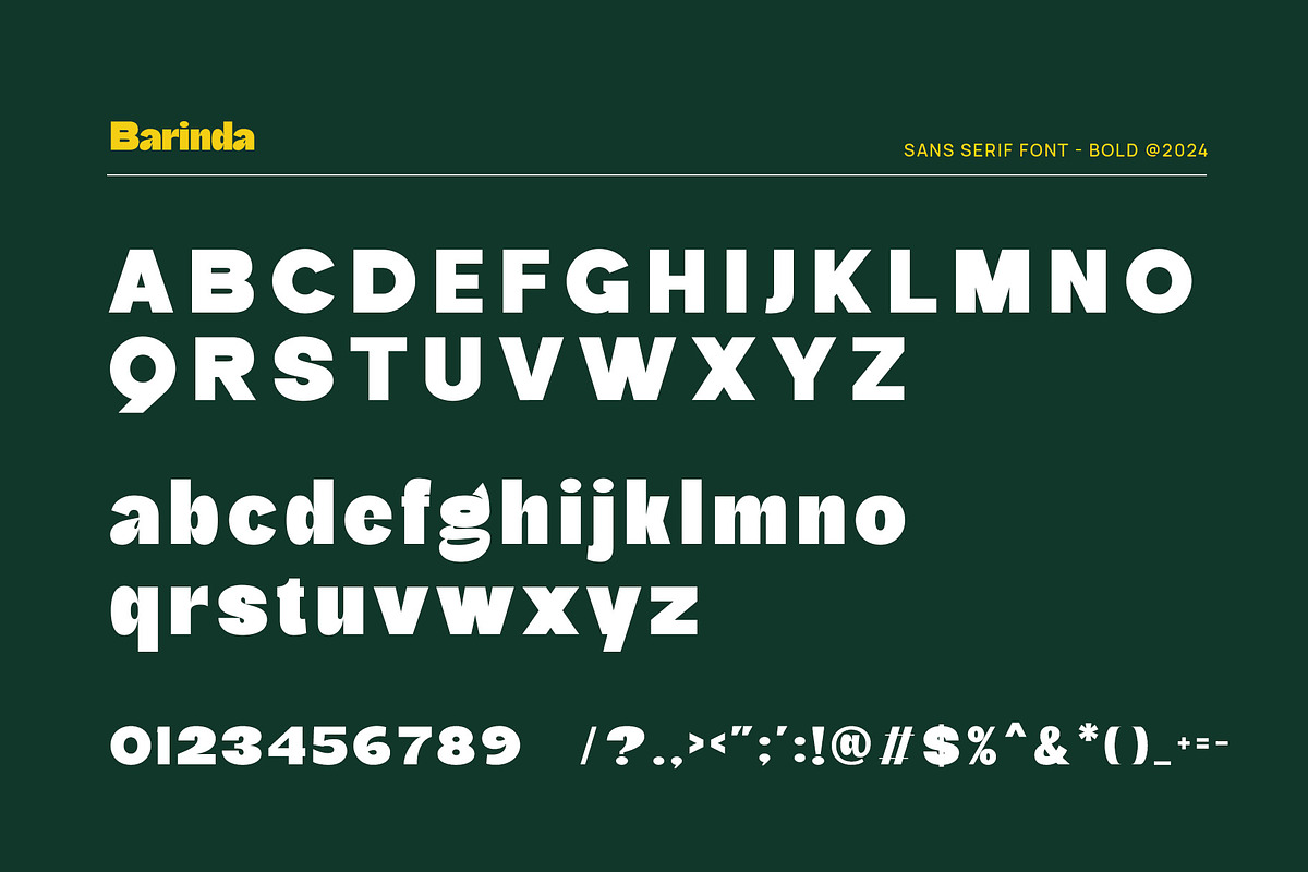 Barinda - Modern Display Sans Serif, a Sans Serif Font by TypeLogue (Photo 5 of 5)