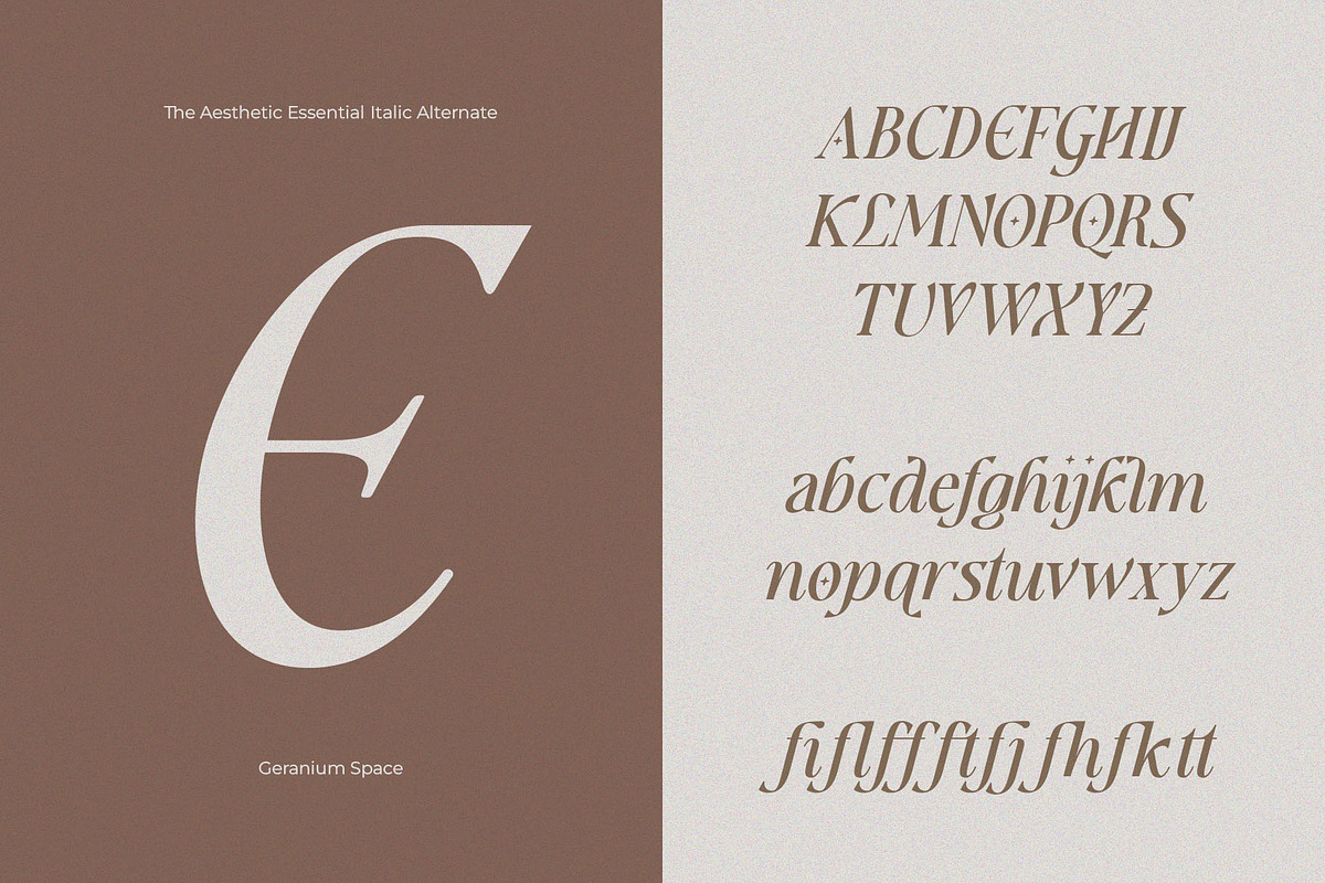 Aesthetic Essential | Modern Serif, a Serif Font by Megi Satyo Widodo (Photo 19 of 22)
