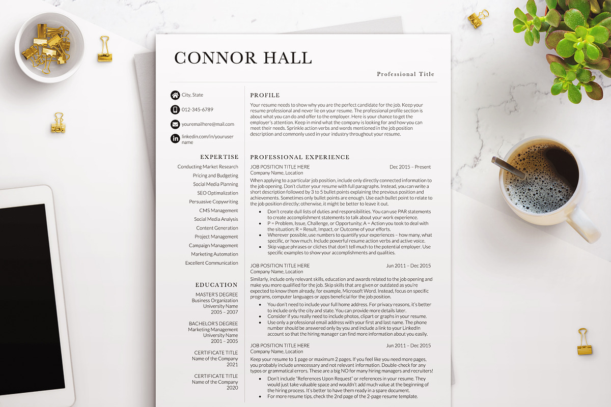 Professional Resume Page Simple CV, a Resume Template by BestResumes.Co (Photo 1 of 9)