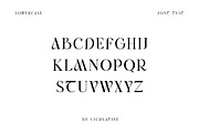 Rimogles Modern Serif Font, a Serif Font by UICreative (Thumbnail 10 of 12)