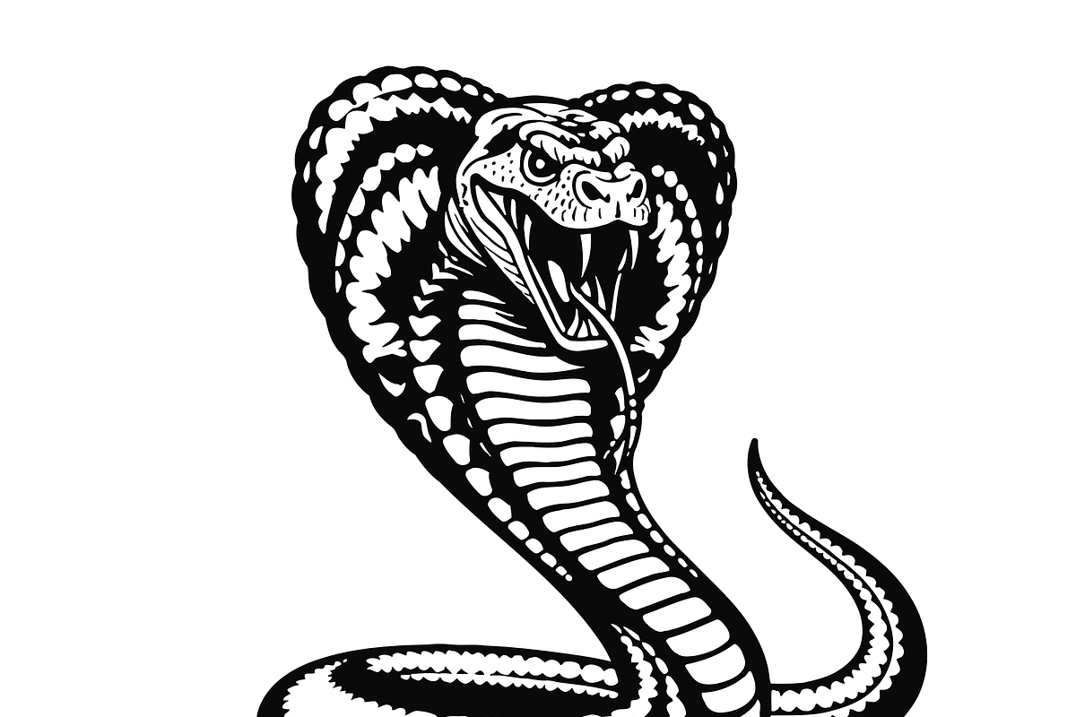 Majestic Cobra Illustration, an Object Illustration by CarWrap design (Photo 2 of 3)