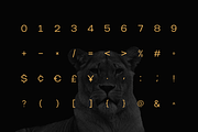 Norik Nue - A Modern Sans-serif Font, a Sans Serif Font by Webhance Studio (Thumbnail 8 of 12)