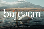 Alhadara | Modern Serif Font, a Serif Font by Pentagonistudio (Thumbnail 3 of 10)