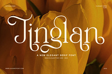 Jinglan Elegant Ligature Serif Font