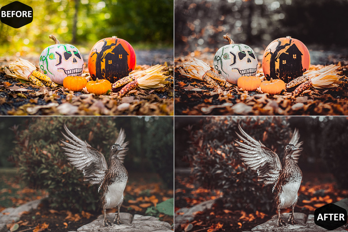 12 Day of the Dead Photoshop Actions, an Action Add-On by Hue Palettte Studio (Photo 9 of 10)