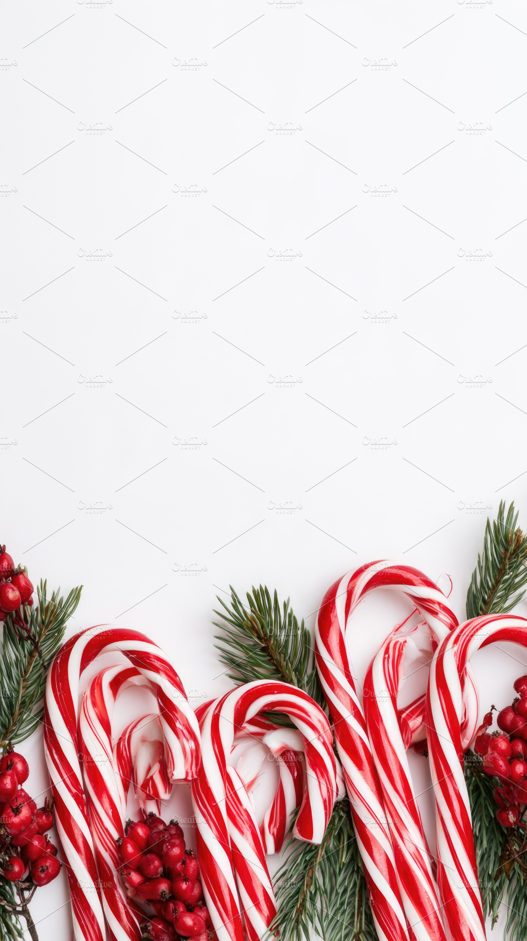 Christmas candy canes with red berries and evergreen branches, a Food & Drink Photo by José Manuel Gelpi