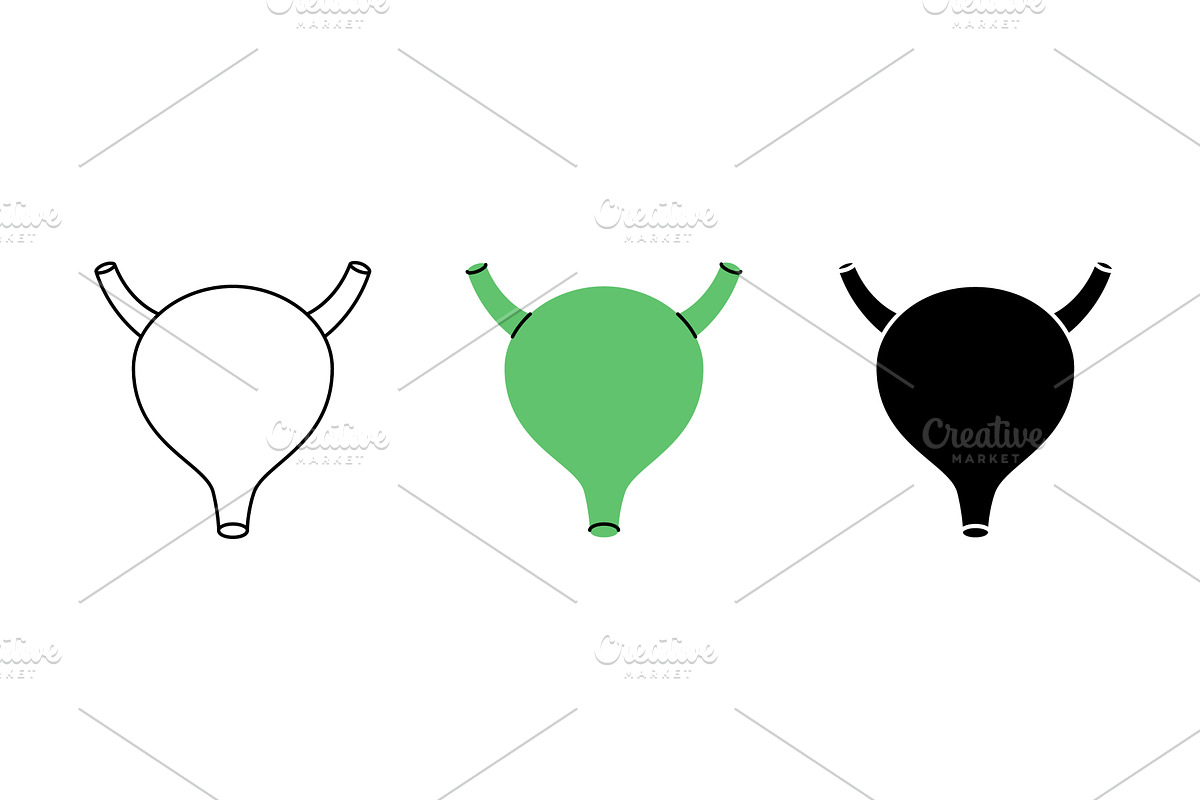 Bladder icon set. Human internal, a Healthcare Illustration by GraphiShop