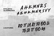 Lastrike, a Script Font by Ditatype (Thumbnail 8 of 11)