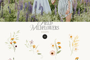 FIELD WILDFLOWERS watercolor, a Decorative Illustration by Lana Elanor (Thumbnail 7 of 12)