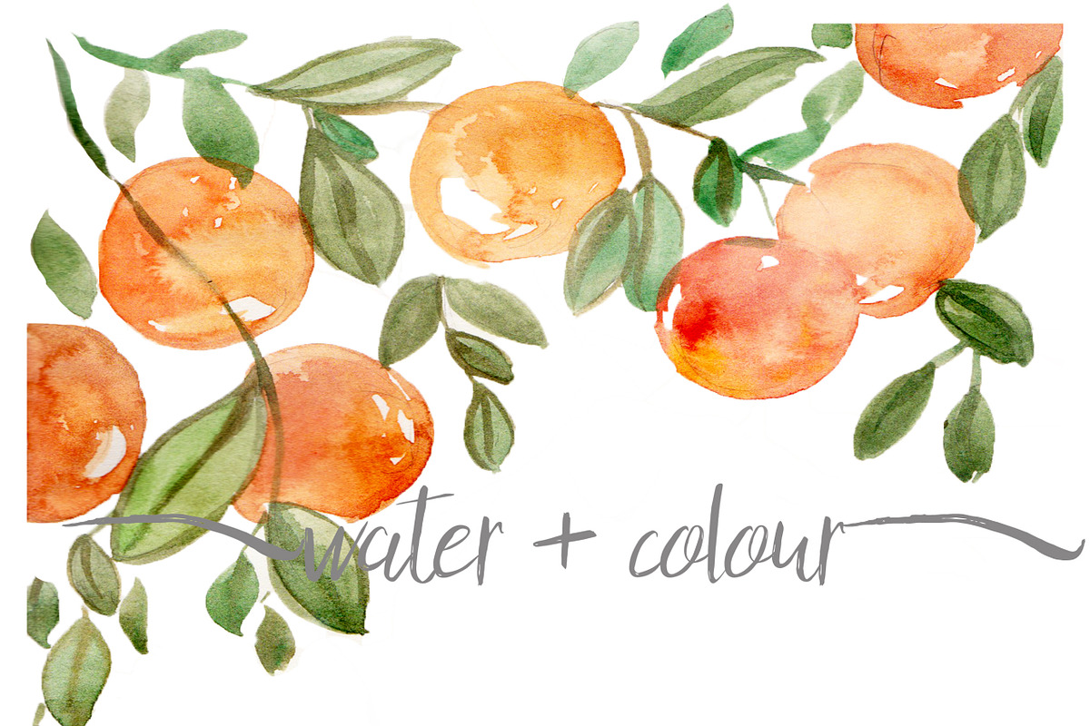 watercolor oranges border, an Illustration by water + colour