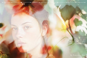 Airy flowers- Blurred floral set, a Background Graphic by Pamyatka Shop (Thumbnail 3 of 11)