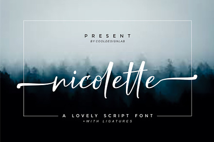 Nicolette Script, a Script Font by cooldesignlab