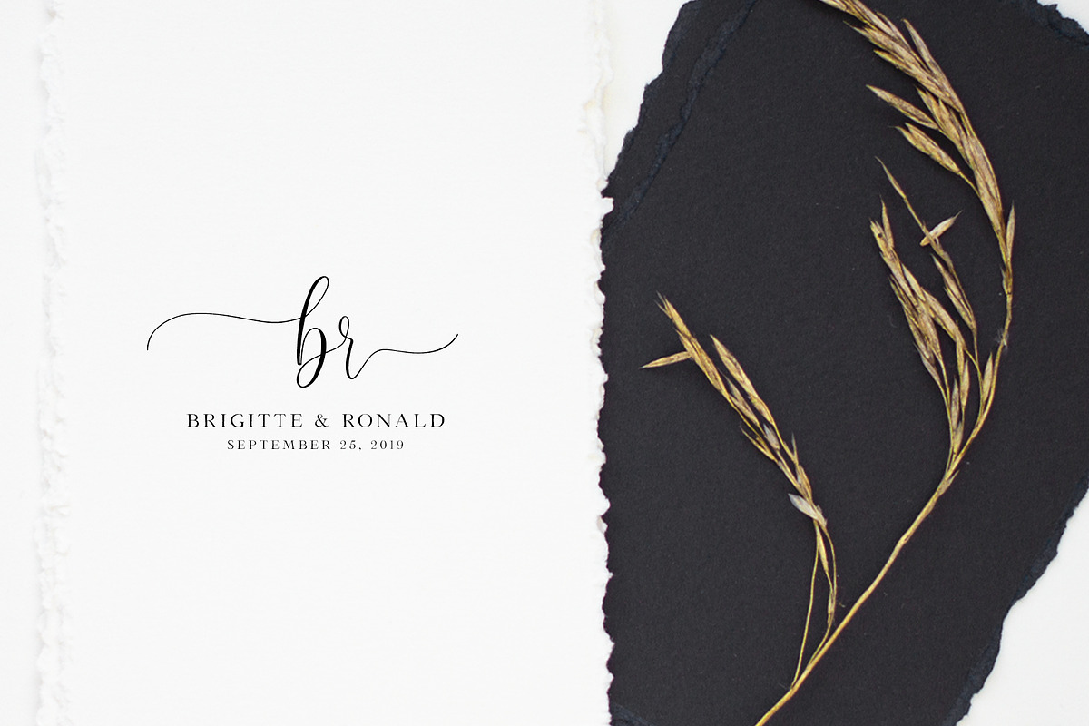 Desert Song | Calligraphy Script, a Script Font by Calamar Studio (Photo 9 of 14)