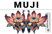 Muji Co · Symmetrical Botanics, a Decorative Illustration by milatovar (Thumbnail 1 of 16)
