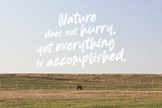Blured Brush, a Script Font by Ditatype (Thumbnail 10 of 10)