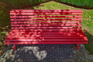 Red wooden bench in sunlit park, an Arts & Entertainment Photo by DanFLCreativo